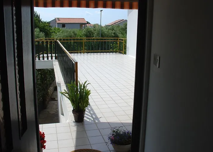 And Mirjana ביבינייה